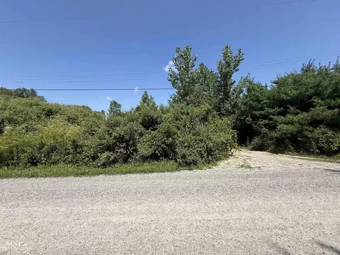 0 Wall, Port Huron, MI 48060