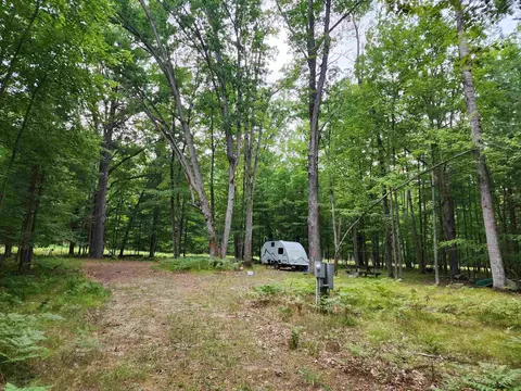 4580 Pine, Farwell, MI 48622 photo 12