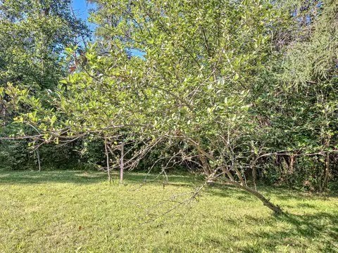 Exterior - 8012 E Gladwin, Gladwin, MI 48624 photo 5 of 15