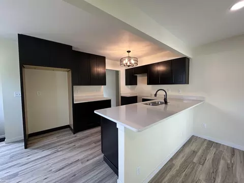 916 Moore, Davison, MI 48423 photo 4