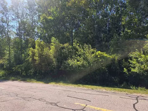 Salisbury, Gladwin, MI 48624 photo 12