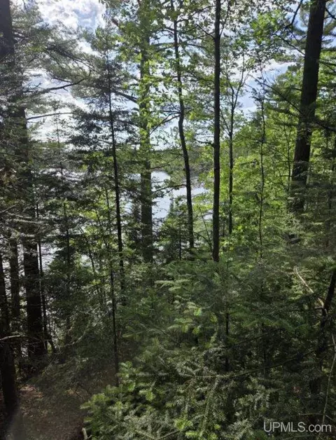 tbd W Paint Lk, Iron River, MI 49935