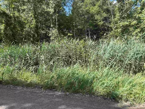 lot537 Woodbine, Lexington, MI 48450