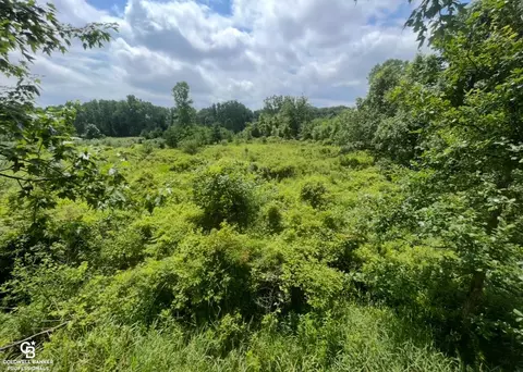 Yale Rd, Yale, MI 48097 photo 3
