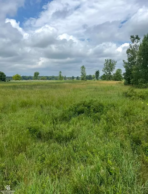 Yale Rd, Yale, MI 48097 photo 8