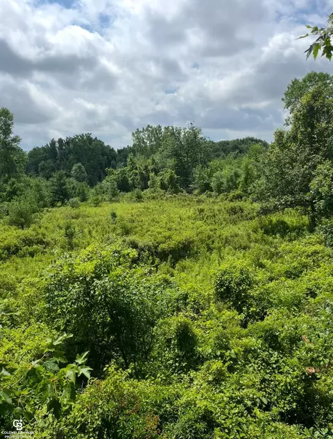 Yale Rd, Yale, MI 48097