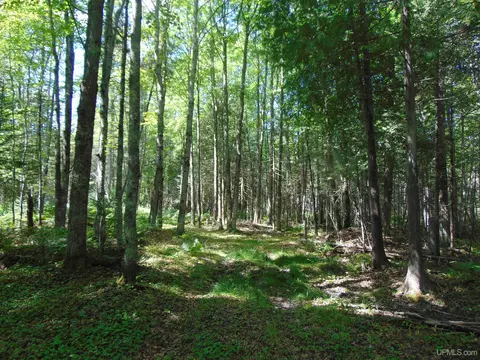 tbd 1 Us Hwy 45, Bruce Crossing, MI 49912