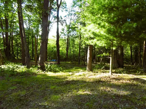 Nn N Eberhart, Harrison, MI 48625 photo 27