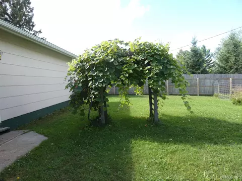1 Cedar, White Pine, MI 49971 photo 14