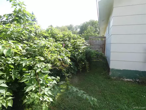 1 Cedar, White Pine, MI 49971 photo 13