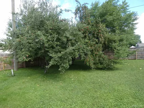 1 Cedar, White Pine, MI 49971 photo 18