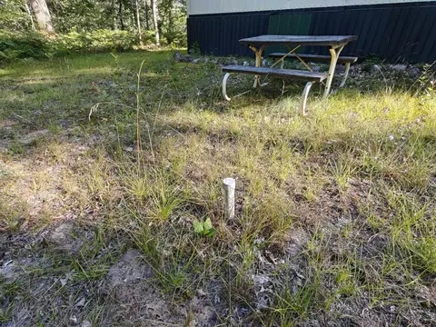 2541 Beatrice, Harrison, MI 48625 photo 39