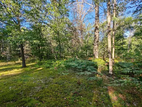 2541 Beatrice, Harrison, MI 48625 photo 40