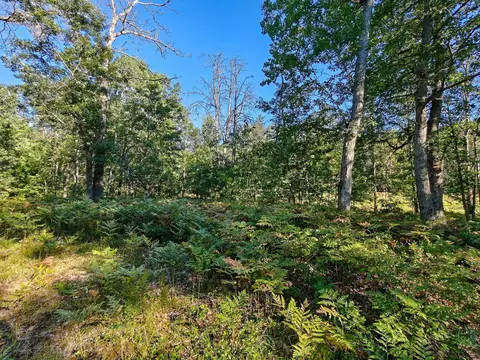 2541 Beatrice, Harrison, MI 48625 photo 31