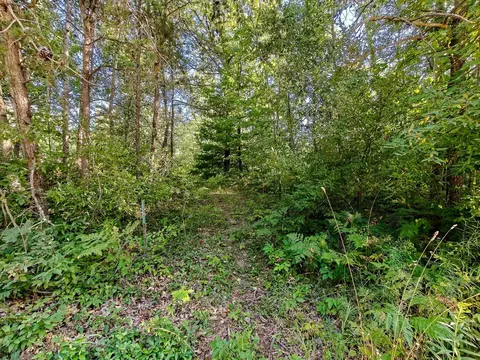 2541 Beatrice, Harrison, MI 48625 photo 42