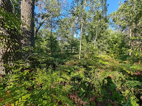 2541 Beatrice, Harrison, MI 48625 photo 32