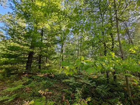 2541 Beatrice, Harrison, MI 48625 photo 46