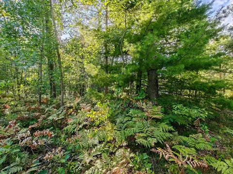 2541 Beatrice, Harrison, MI 48625 photo 45