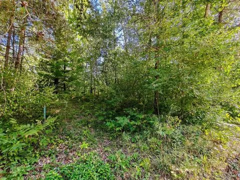 2541 Beatrice, Harrison, MI 48625 photo 41