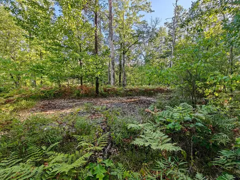 2541 Beatrice, Harrison, MI 48625 photo 44