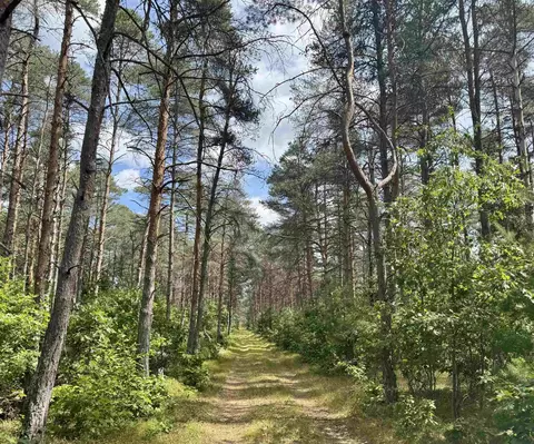 4105 N Strawberry, Harrison, MI 48625