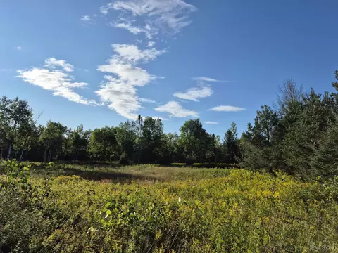 50 Acres M67, Trenary, MI 49816