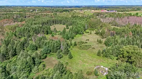 3549 D, Bark River, MI 49807 photo 20