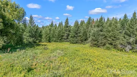 3549 D, Bark River, MI 49807 photo 22