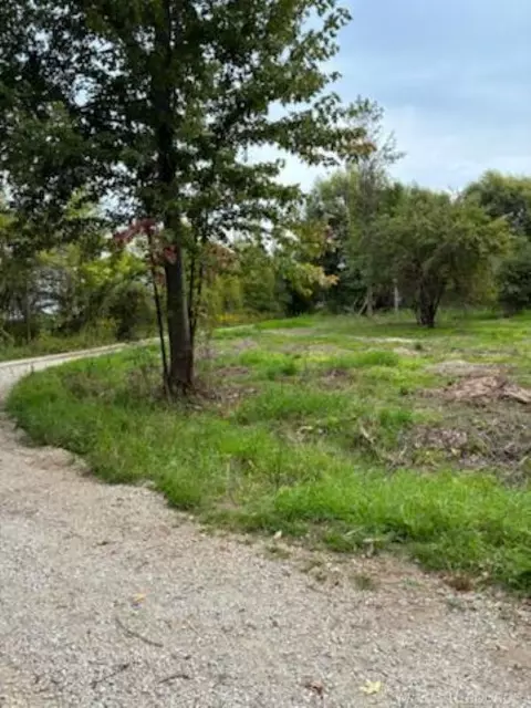 tbd Vicky, Port Hope, MI 48468