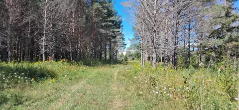 tbd Y25, Rapid River, MI 49878
