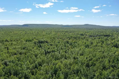 tbd Lp Walsh, White Pine, MI 49971