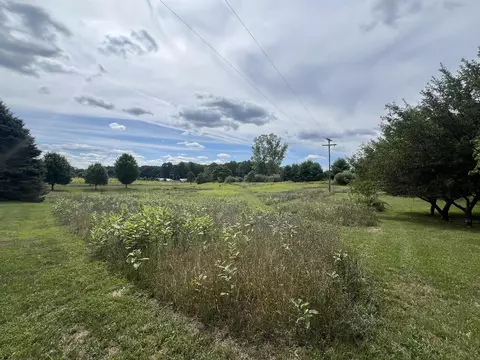 Exterior - 6464 E 100th, Newaygo, MI 49337 photo 13 of 21