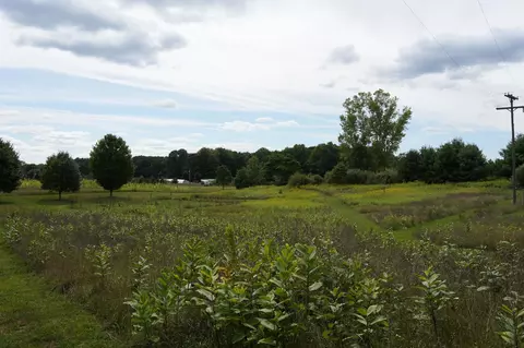 Other - 6464 E 100th, Newaygo, MI 49337 photo 24 of 30