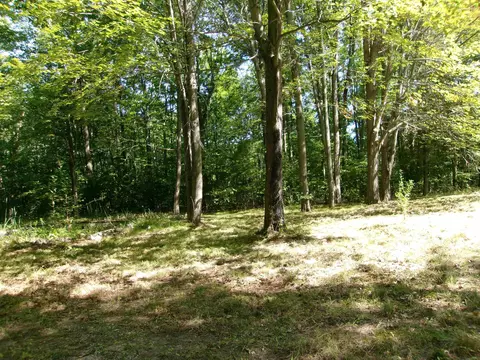 3781 Tice, Harrison, MI 48625 photo 5