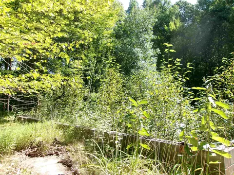3781 Tice, Harrison, MI 48625 photo 6