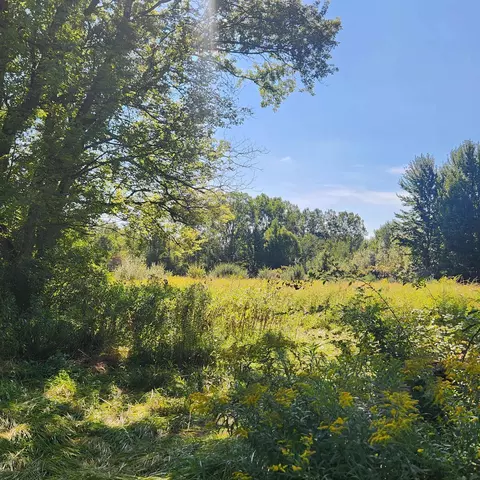 58450 Place, New Haven, MI 48048 photo 8