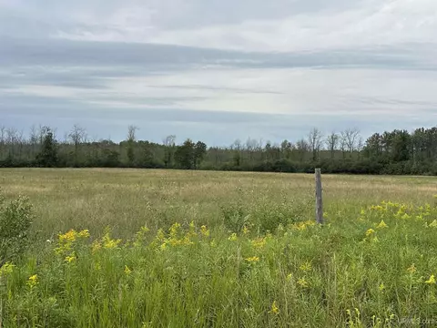 16 A Tbd H, Bark River, MI 49807 photo 7