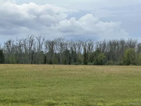 16 A Tbd H, Bark River, MI 49807 photo 5