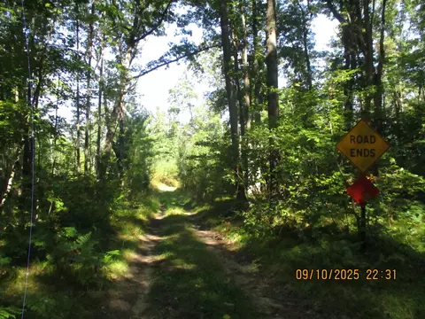00 Firelane Trl, Lake George, MI 48633