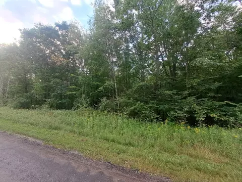 tbd Monroe, Harrison, MI 48625 photo 2
