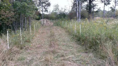 1950 E Alamando, Coleman, MI 48618