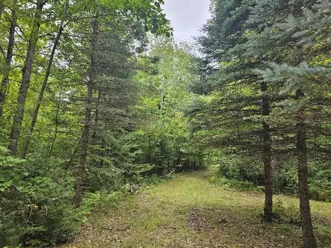 3900 N M 30, Gladwin, MI 48624
