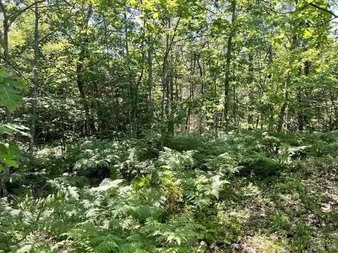 tbd 19 M26, Eagle Harbor, MI 49950 photo 26