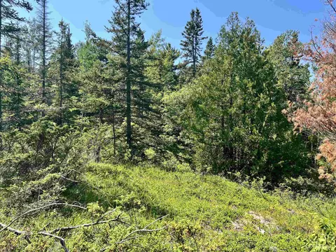 tbd 19 M26, Eagle Harbor, MI 49950 photo 25