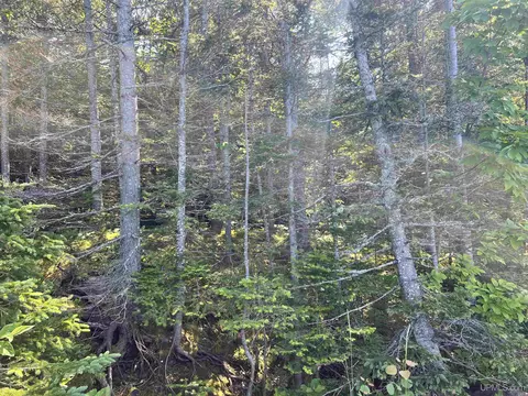 tbd 19 M26, Eagle Harbor, MI 49950 photo 16