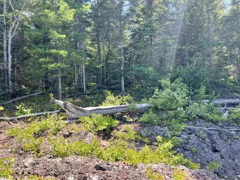 tbd 19 M26, Eagle Harbor, MI 49950 photo 14