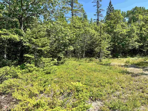 tbd 19 M26, Eagle Harbor, MI 49950 photo 21