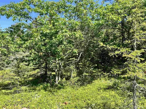 tbd 19 M26, Eagle Harbor, MI 49950 photo 19