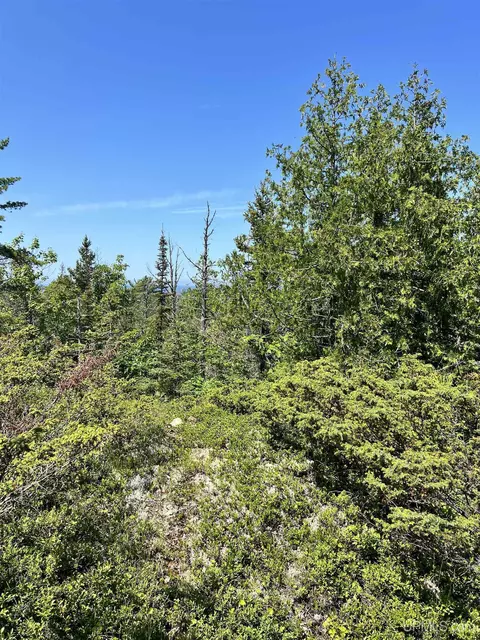 tbd 19 M26, Eagle Harbor, MI 49950 photo 17