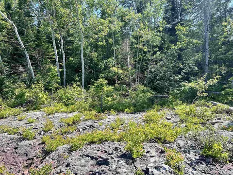 tbd 19 M26, Eagle Harbor, MI 49950 photo 15